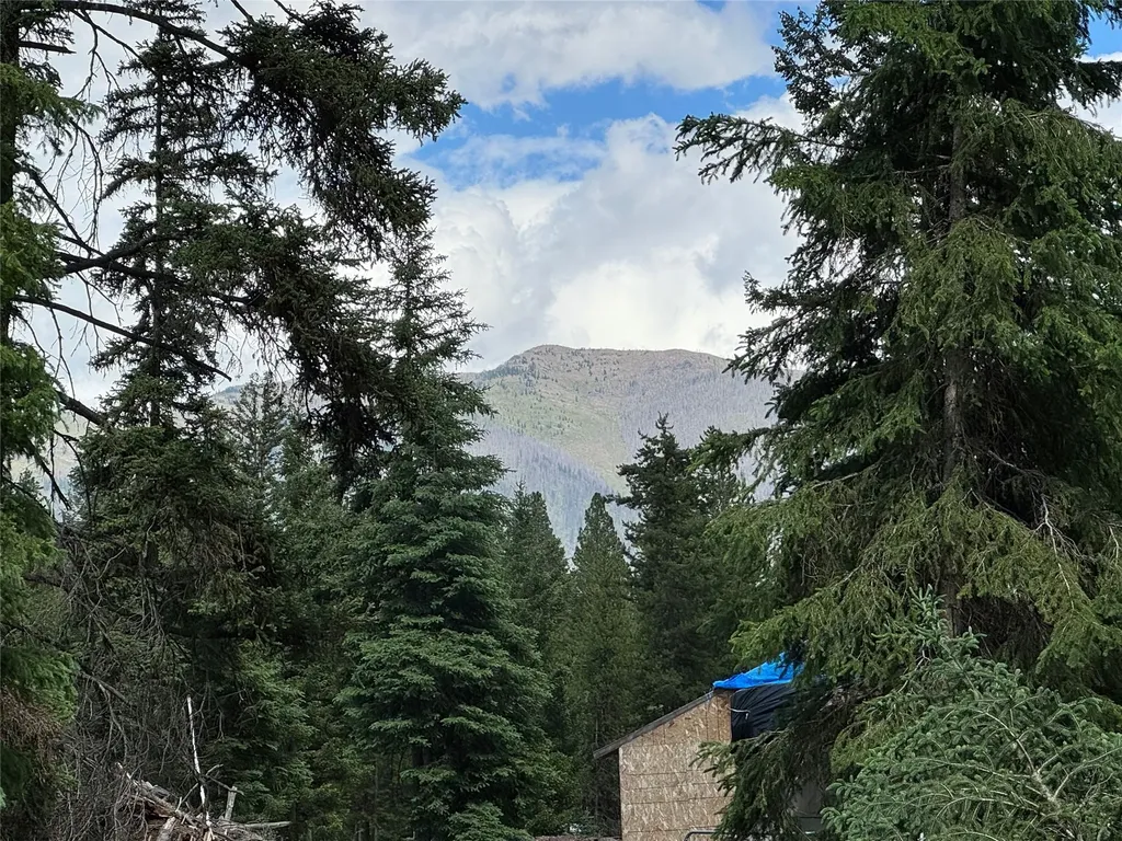 265 N Canyon Drive Seeley Lake MT 59868