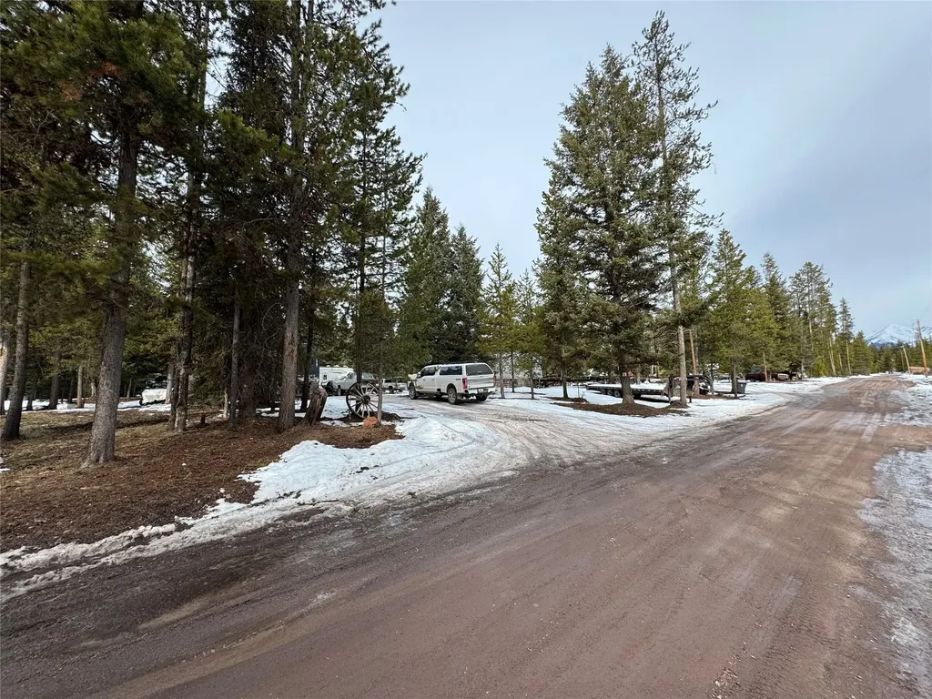 265 N Canyon Drive Seeley Lake MT 59868
