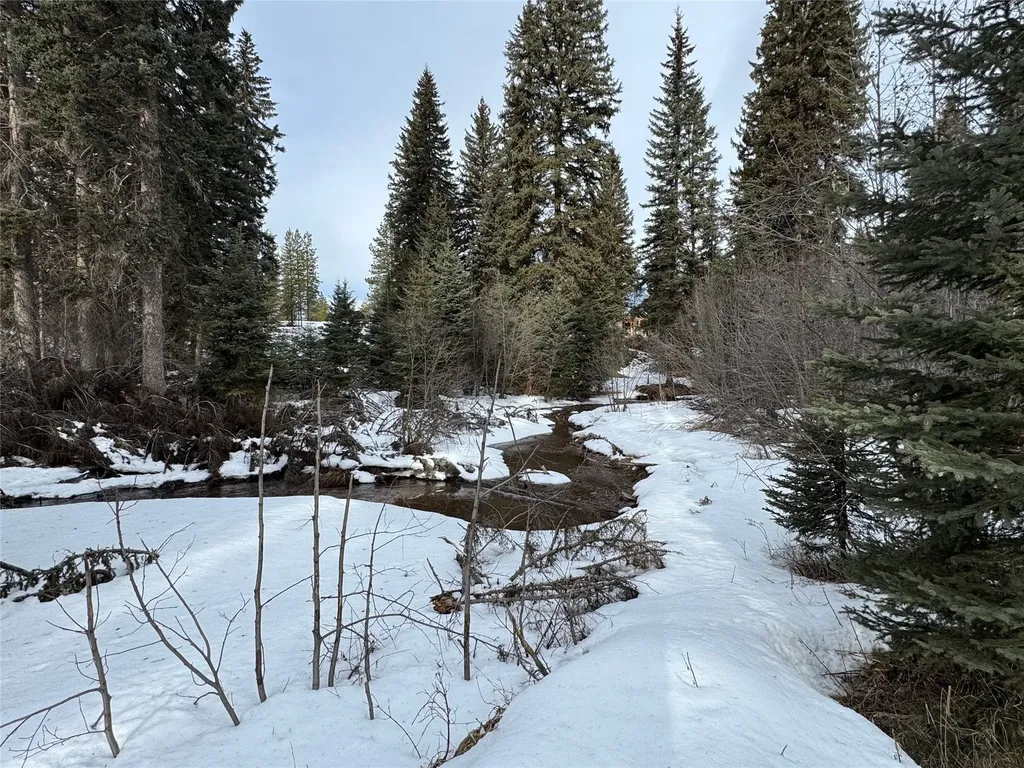 265 N Canyon Drive Seeley Lake MT 59868