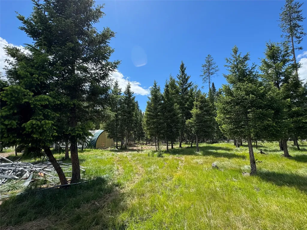 265 N Canyon Drive Seeley Lake MT 59868