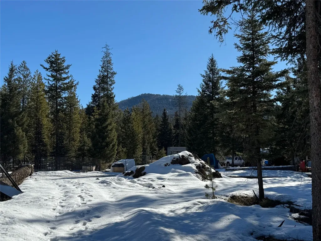 265 N Canyon Drive Seeley Lake MT 59868