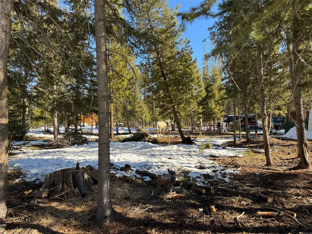 265 N Canyon Drive Seeley Lake MT 59868