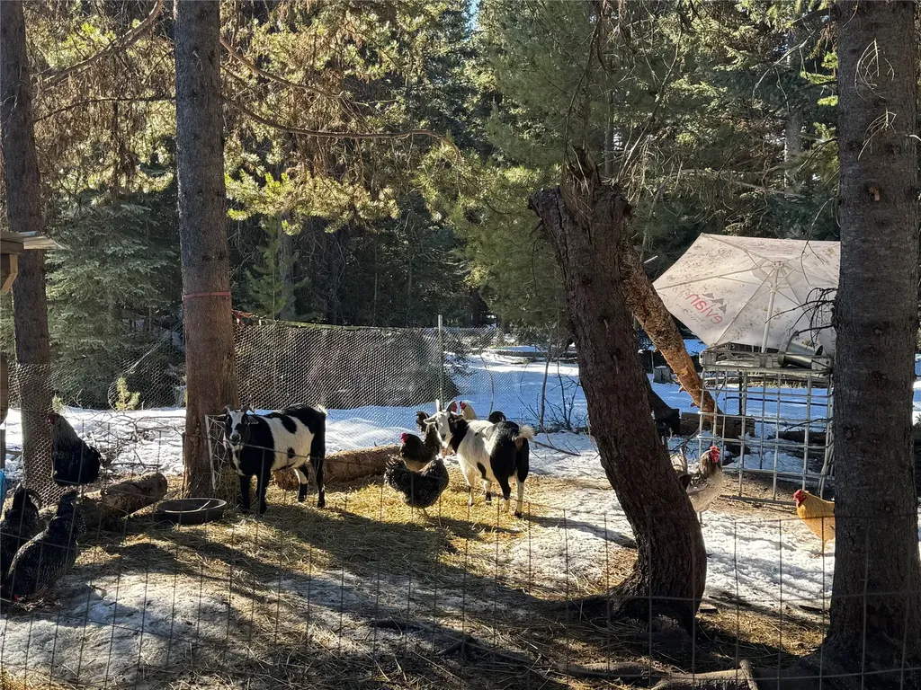 265 N Canyon Drive Seeley Lake MT 59868