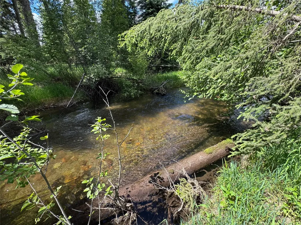 265 N Canyon Drive Seeley Lake MT 59868
