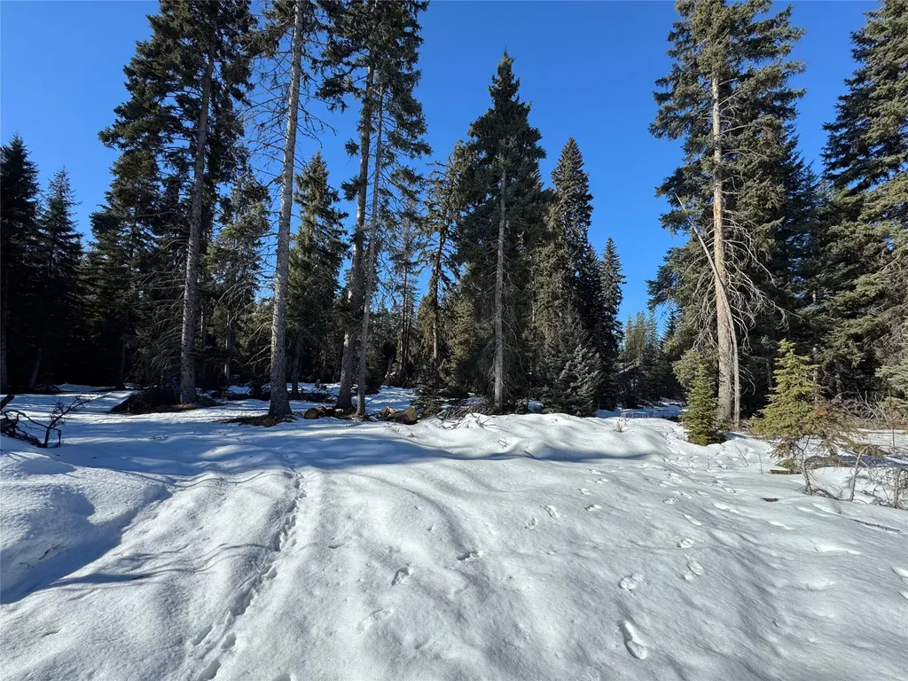 265 N Canyon Drive Seeley Lake MT 59868