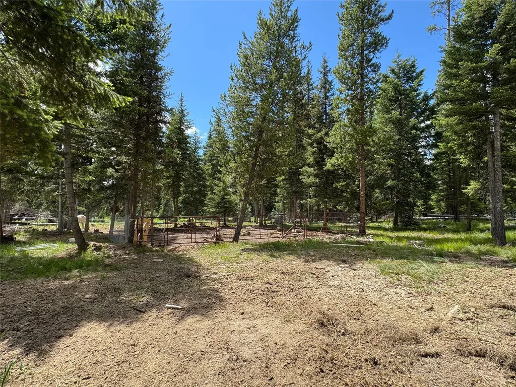 265 N Canyon Drive Seeley Lake MT 59868