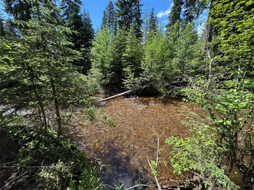 265 N Canyon Drive Seeley Lake MT 59868