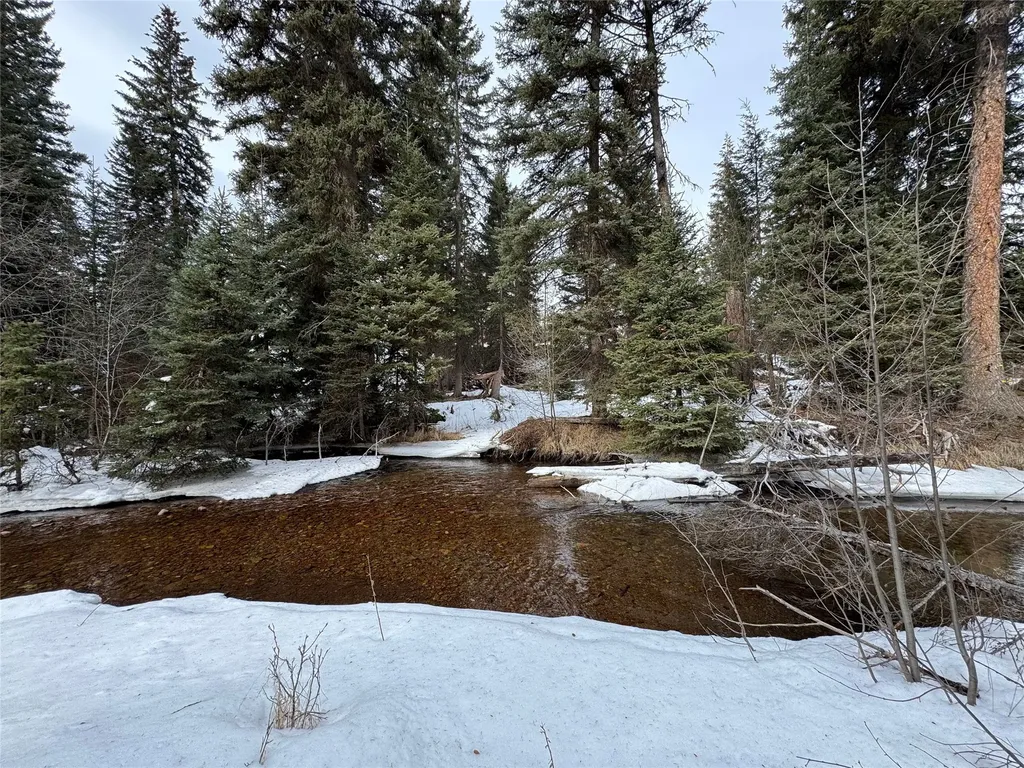 265 N Canyon Drive Seeley Lake MT 59868