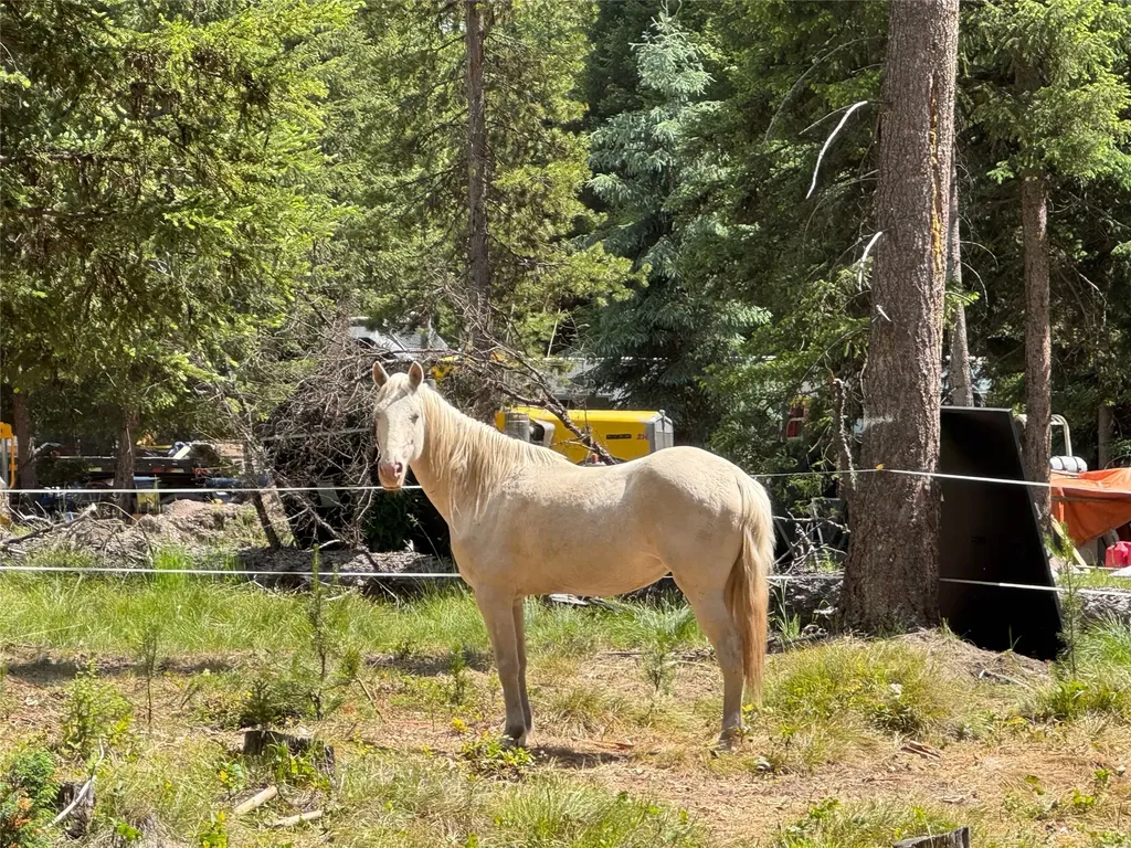 265 N Canyon Drive Seeley Lake MT 59868