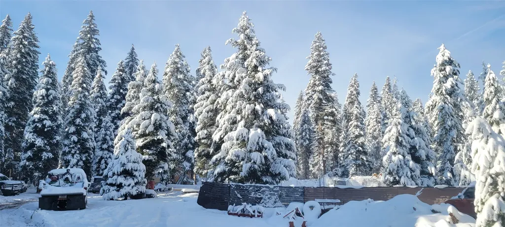 265 N Canyon Drive Seeley Lake MT 59868