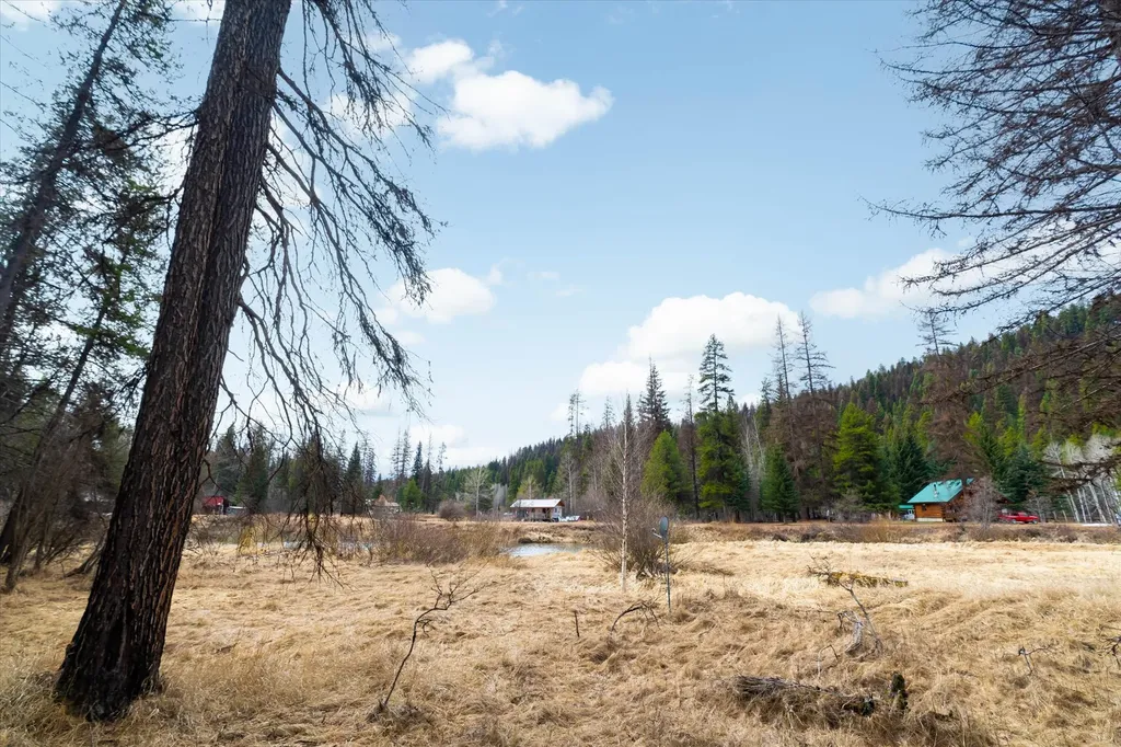 796 Tamarack Lane Troy MT 59935