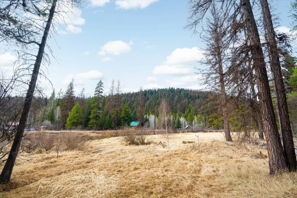796 Tamarack Lane Troy MT 59935