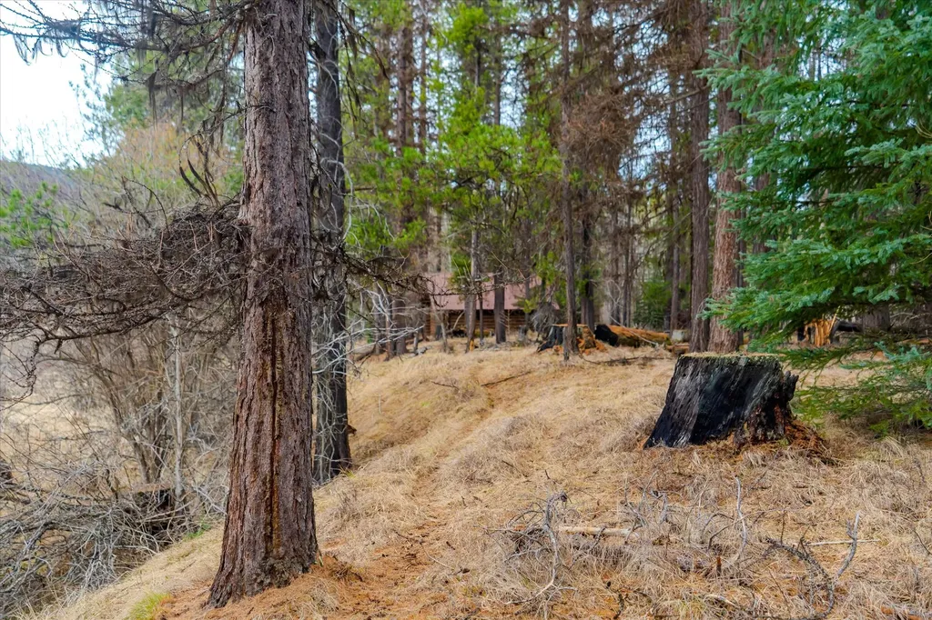 796 Tamarack Lane Troy MT 59935