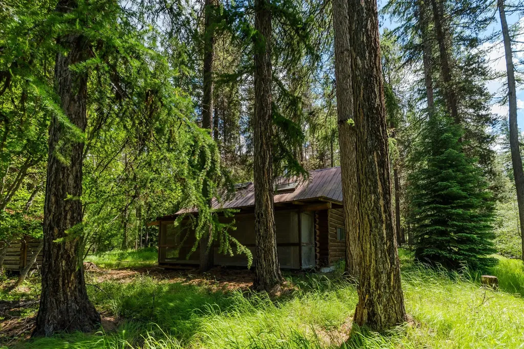 796 Tamarack Lane Troy MT 59935