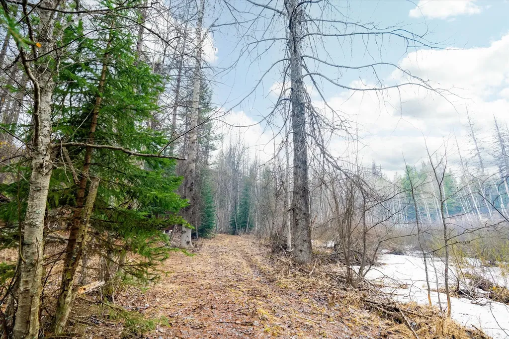 796 Tamarack Lane Troy MT 59935