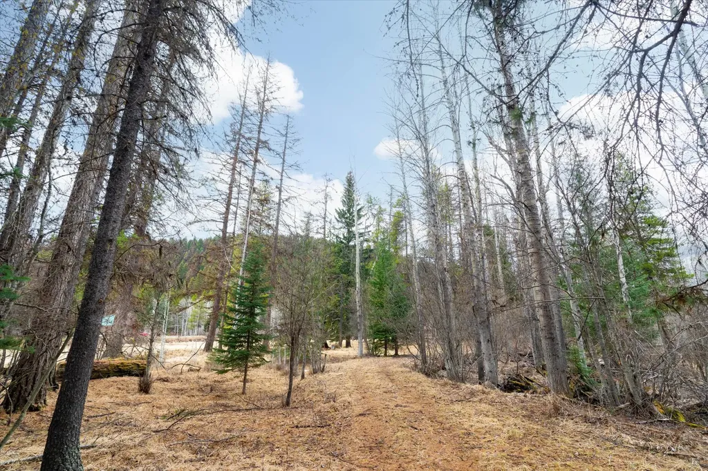 796 Tamarack Lane Troy MT 59935
