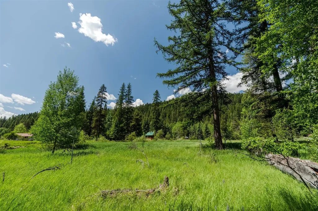 796 Tamarack Lane Troy MT 59935