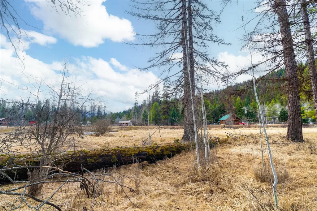 796 Tamarack Lane Troy MT 59935