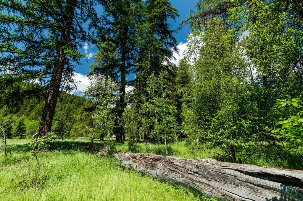 796 Tamarack Lane Troy MT 59935