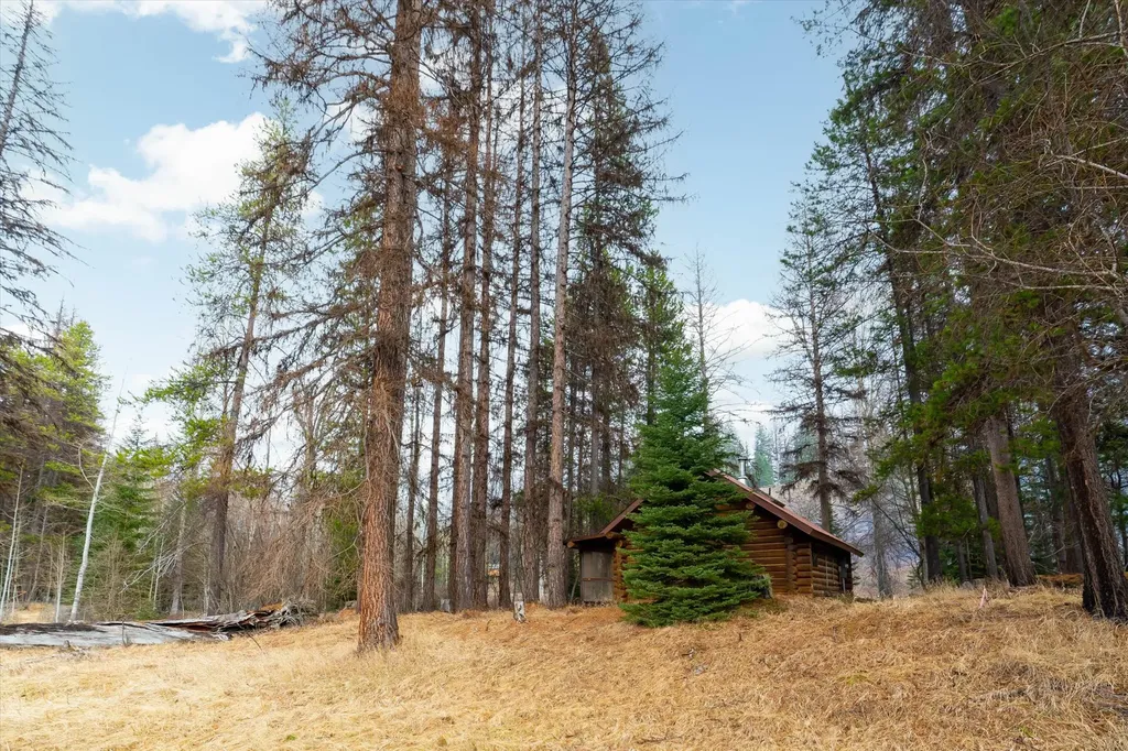 796 Tamarack Lane Troy MT 59935