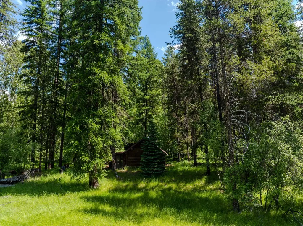 796 Tamarack Lane Troy MT 59935