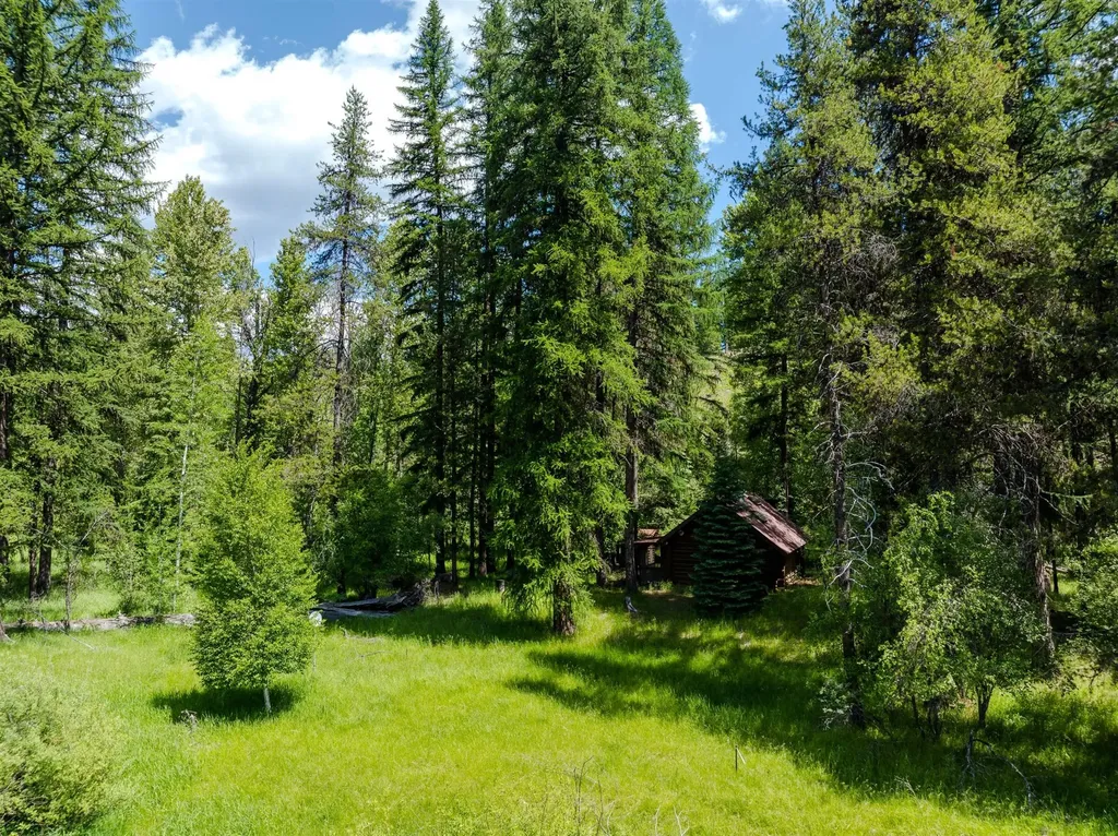 796 Tamarack Lane Troy MT 59935