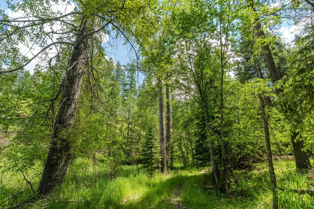796 Tamarack Lane Troy MT 59935