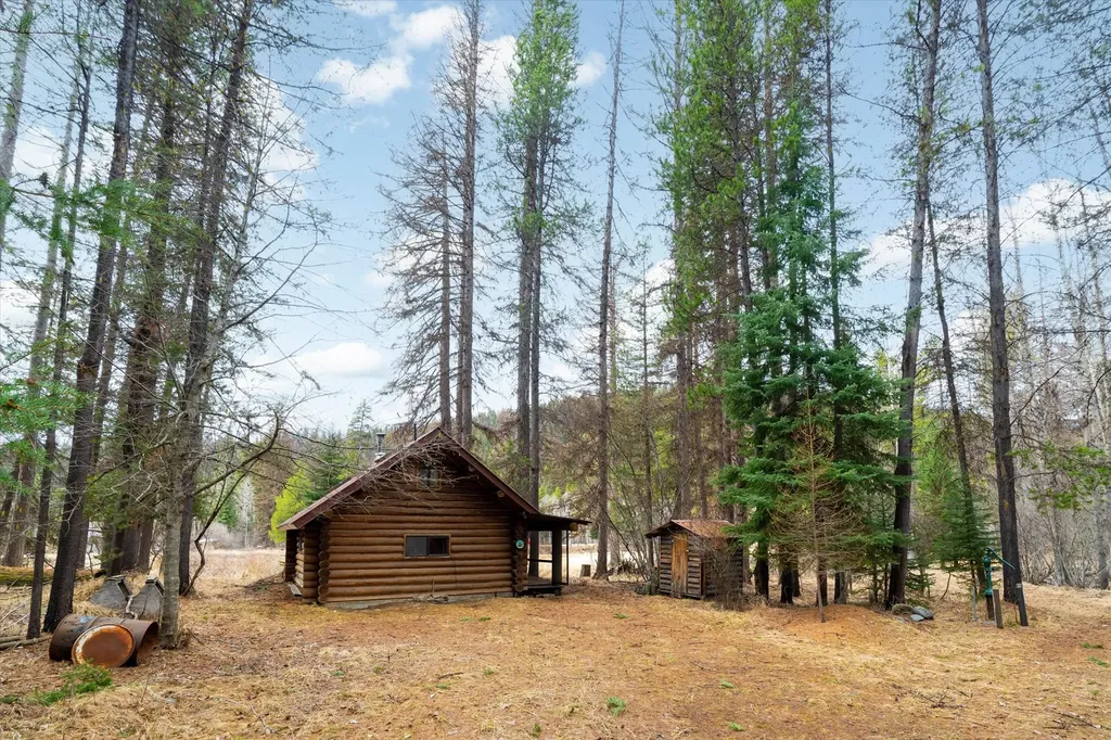796 Tamarack Lane Troy MT 59935