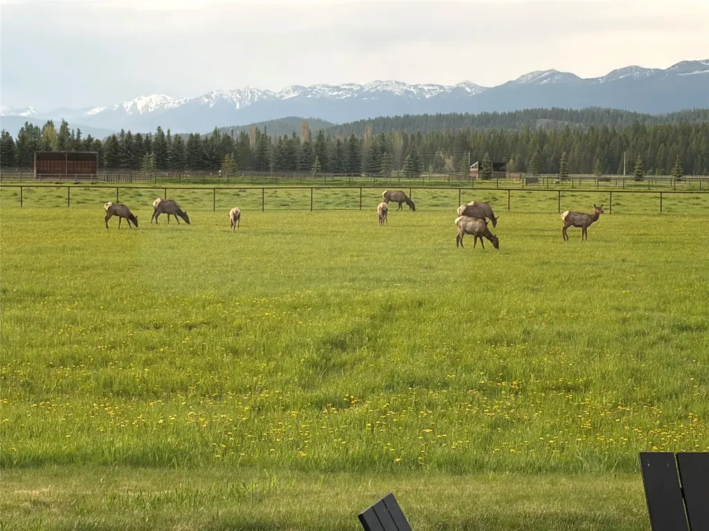 567 Twin Bridges Road Whitefish MT 59937
