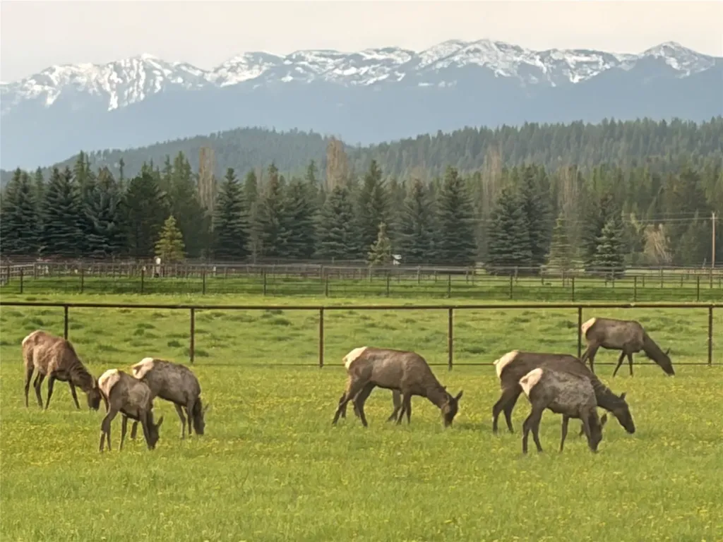 567 Twin Bridges Road Whitefish MT 59937