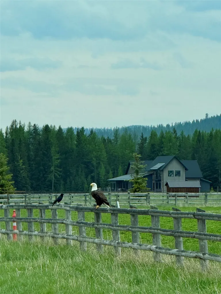 567 Twin Bridges Road Whitefish MT 59937