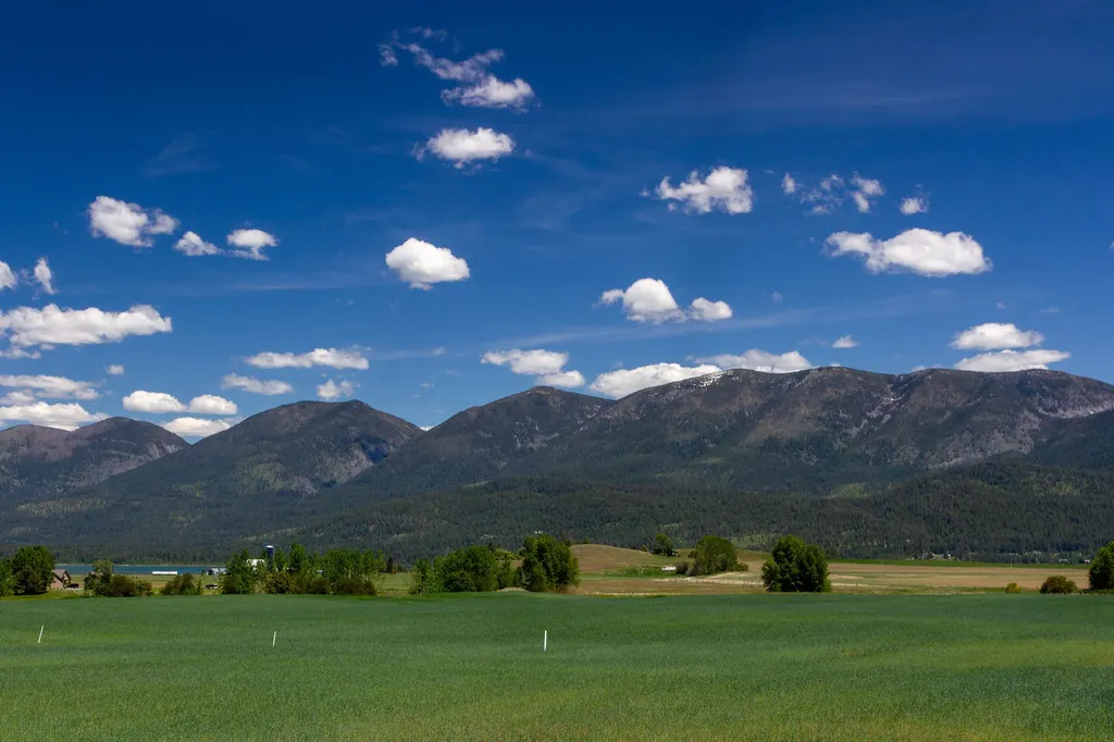 116 Red Tail Road Polson MT 59860
