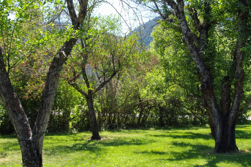 911 Greers Ferry Road Libby MT 59923