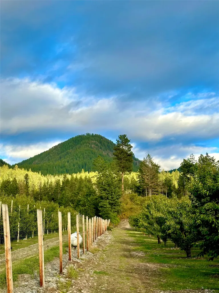 23726 Mount Highway 35 Bigfork MT 59911