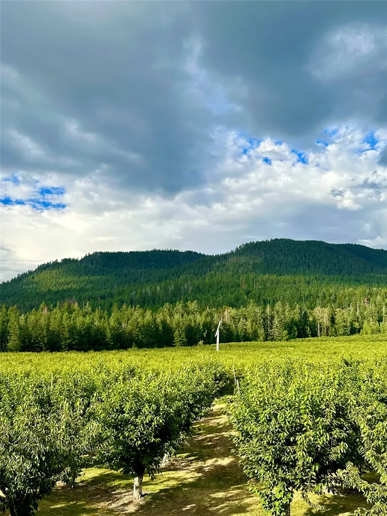23726 Mount Highway 35 Bigfork MT 59911