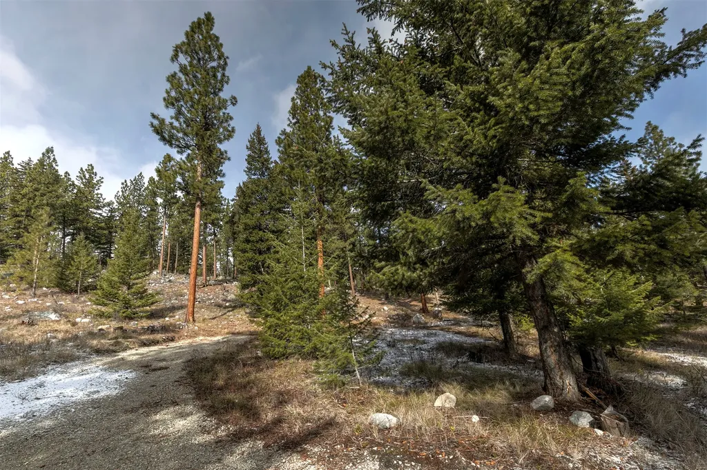 1065 Bear Creek Trail Victor MT 59875