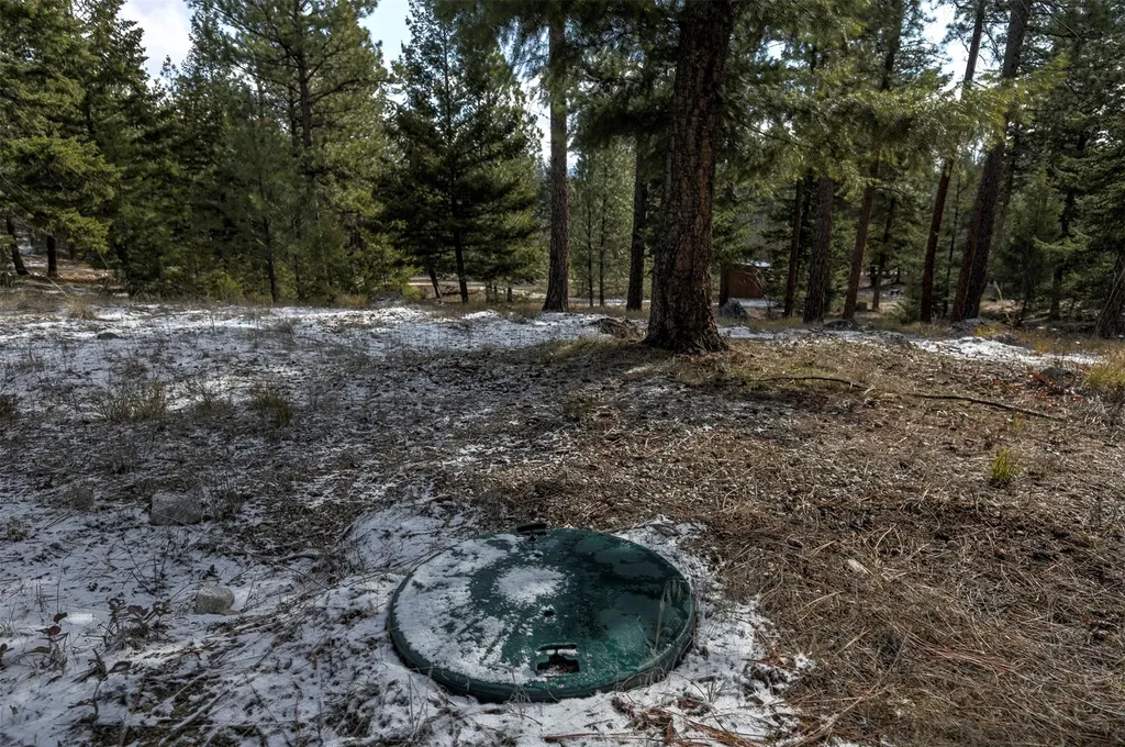 1065 Bear Creek Trail Victor MT 59875