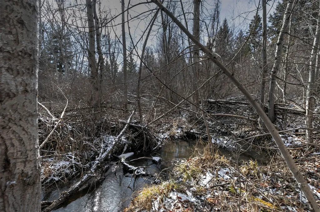 1065 Bear Creek Trail Victor MT 59875