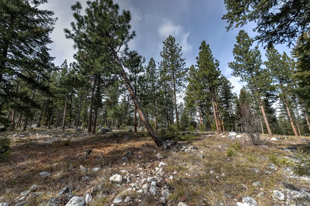 1065 Bear Creek Trail Victor MT 59875