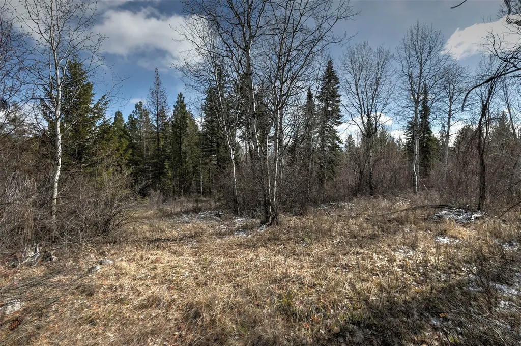 1065 Bear Creek Trail Victor MT 59875