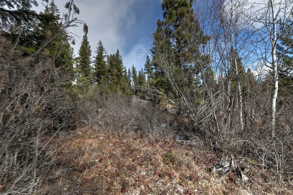 1065 Bear Creek Trail Victor MT 59875