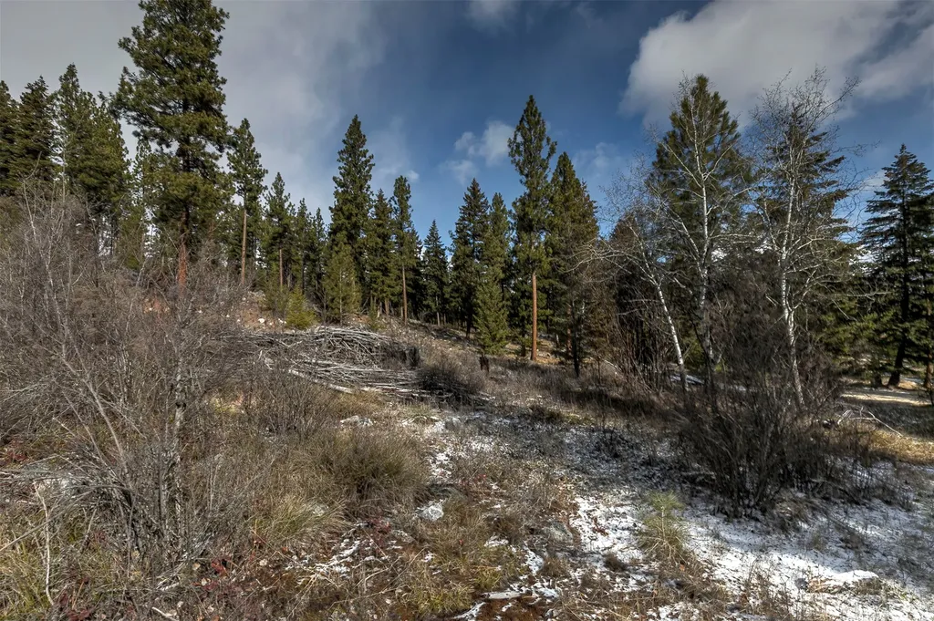 1065 Bear Creek Trail Victor MT 59875