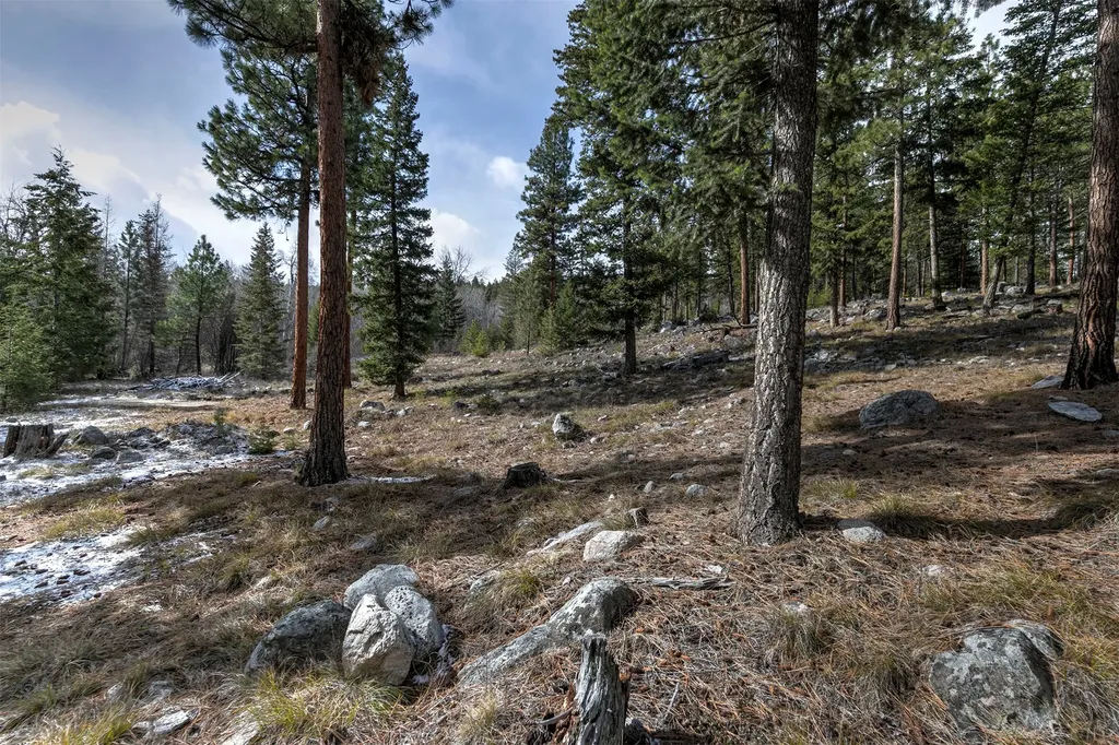 1065 Bear Creek Trail Victor MT 59875