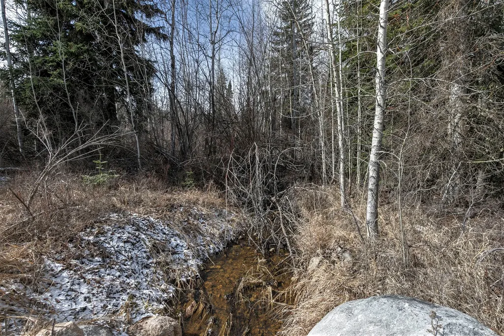 1065 Bear Creek Trail Victor MT 59875