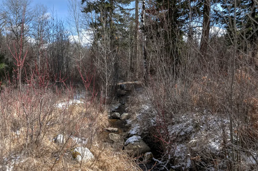 1065 Bear Creek Trail Victor MT 59875