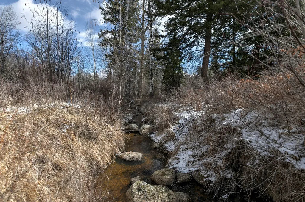 1065 Bear Creek Trail Victor MT 59875