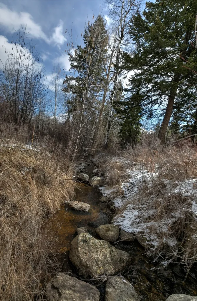 1065 Bear Creek Trail Victor MT 59875