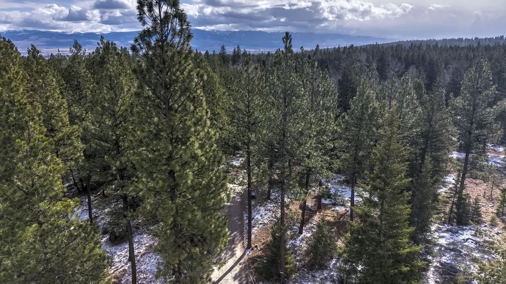 1065 Bear Creek Trail Victor MT 59875
