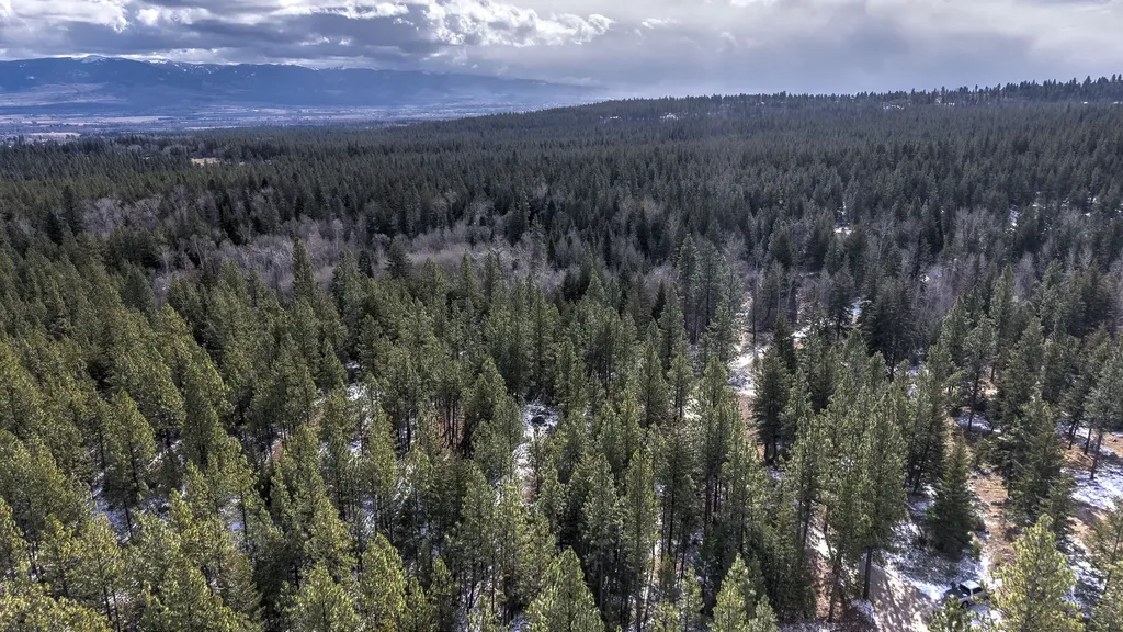 1065 Bear Creek Trail Victor MT 59875