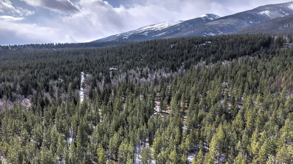 1065 Bear Creek Trail Victor MT 59875